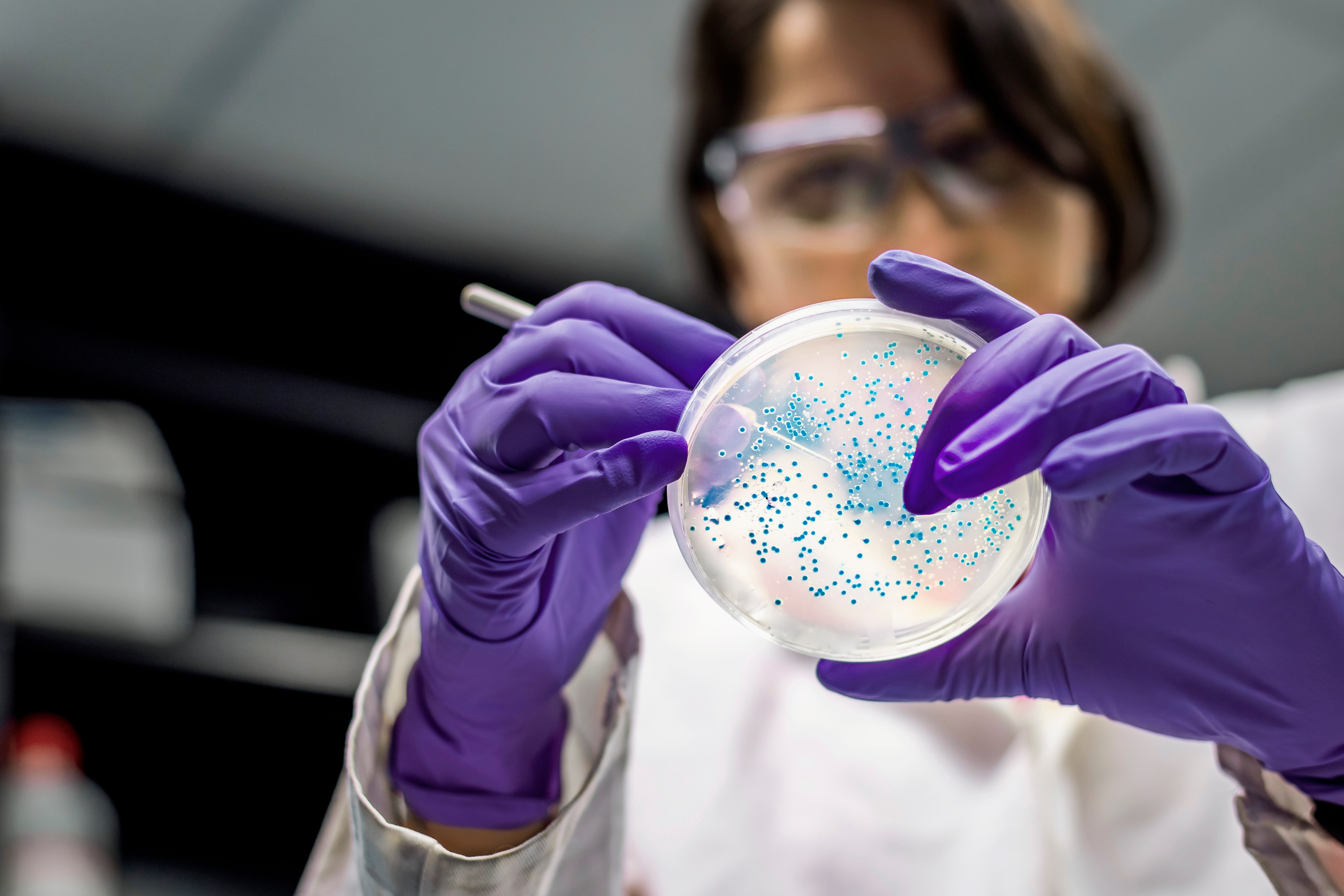 Doctor working on a petri dish with blue subjects in the clear goo, wearing purple gloves, mask, and eye protection.