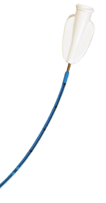 To Dual Lumen Groshong® NXT PICC advantages: