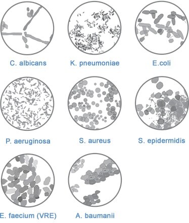 Antimicrobial