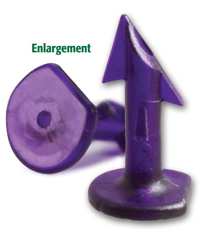 Ergebnisorientierte Fixation
